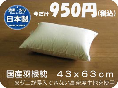 【日本製国産】 羽根枕（羽枕・羽毛まくら） 43x63cm